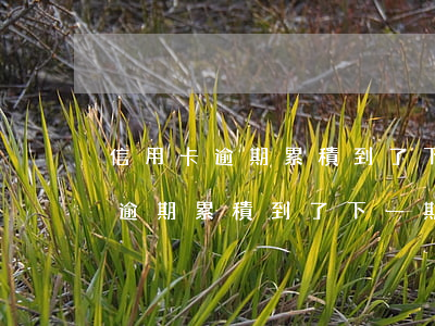 信用卡逾期累積到了下一期怎么還-信用卡逾期累積到了下一期怎么還款
