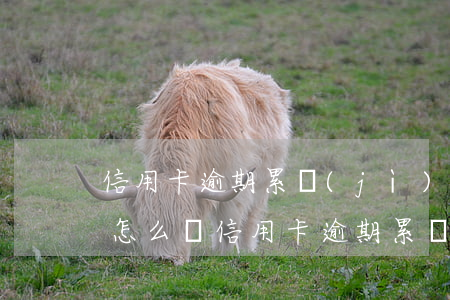 信用卡逾期累計(jì)六次會(huì)怎么樣（信用卡逾期累計(jì)六次）