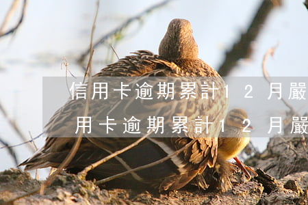 信用卡逾期累計12月嚴(yán)重-信用卡逾期累計12月嚴(yán)重不