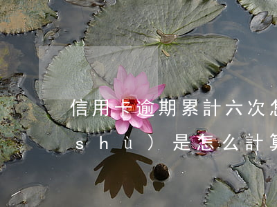 信用卡逾期累計六次怎么計算-逾期次數(shù)是怎么計算的