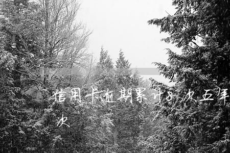 信用卡逾期累计8次(五年内信用卡逾期17次)