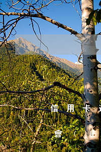 信用卡逾期結(jié)婚會(huì)不會(huì)影響對(duì)方貸款(欠信用卡逾期可以領(lǐng)結(jié)婚證)