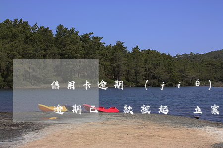 信用卡逾期結(jié)案判決還錢(信用卡逾期已還款被起訴立案后怎么解決)