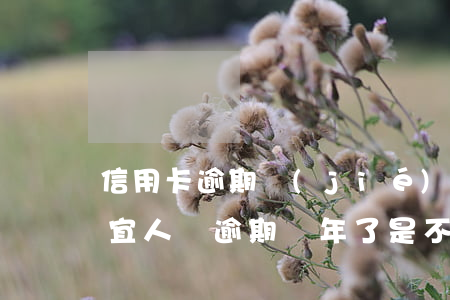 信用卡逾期結(jié)清2年能做宜人貸(宜人貸逾期兩年了是不是不需要還了?)