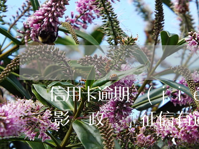 信用卡逾期結(jié)清了會(huì)影響政審嗎 征信有逾期但是已經(jīng)結(jié)清影響政審嗎