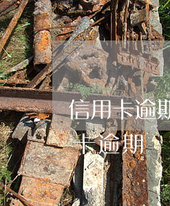 信用卡逾期結(jié)清了還額度嗎(信用卡逾期結(jié)清了還額度嗎)