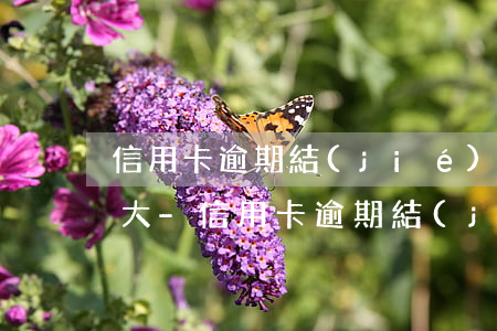 信用卡逾期結(jié)清可申請退息嗎光大-信用卡逾期結(jié)清可申請退息嗎光大銀行