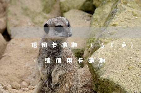 信用卡逾期結(jié)清后卡片怎么處理-清信用卡逾期記錄