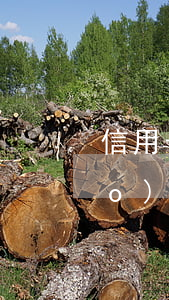 信用卡逾期結(jié)清后征信報(bào)告多久更新-信用卡逾期結(jié)清后征信報(bào)告多久更新一次