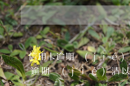 信用卡逾期結(jié)清后怎么弄(信用卡逾期結(jié)清以后還能用嗎)