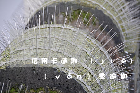 信用卡逾期結(jié)清后還能辦卡嗎-嚴(yán)重逾期結(jié)清后多久可以辦信用卡