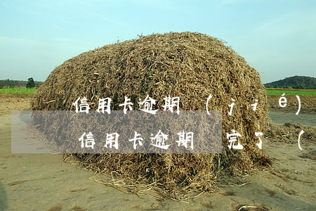 信用卡逾期結(jié)清建議銷卡(停用的信用卡逾期還完了應(yīng)該注銷嗎)
