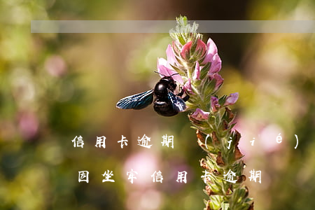 信用卡逾期結(jié)清過后可以減免嗎(因坐牢信用卡逾期違約金可以減免嗎)