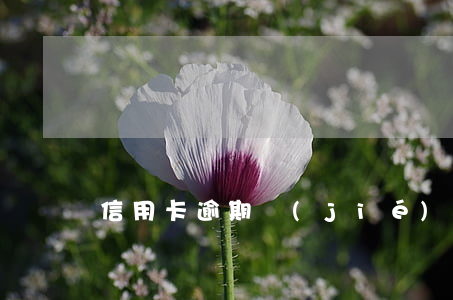 信用卡逾期結(jié)清重組