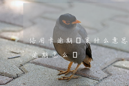信用卡逾期結案什么意思(因刑事案件信用卡逾期怎么辦)
