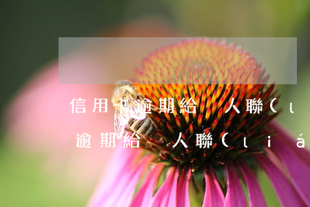 信用卡逾期給別人聯(lián)系(信用卡逾期給別人聯(lián)系方式)