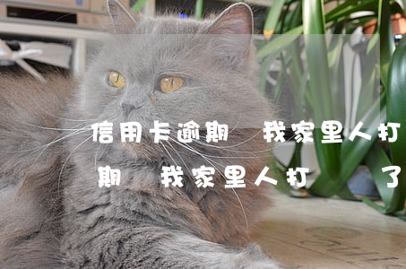 信用卡逾期給我家里人打電話了-信用卡逾期給我家里人打電話了怎么辦