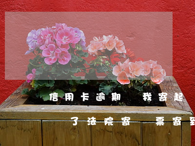 信用卡逾期給我寄起訴-欠信用卡逾期被起訴了 法院寄傳票寄到哪里