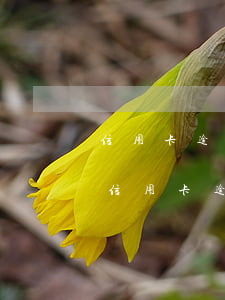 信用卡逾期給我發(fā)了個緊急通知-信用卡逾期給我發(fā)了個緊急通知怎么辦