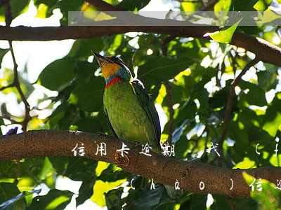 信用卡逾期給我發(fā)來(lái)了掛號(hào)信(逾期掛號(hào)信是怎么回事)
