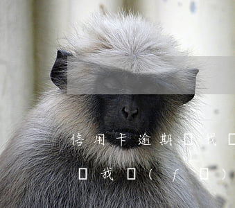 信用卡逾期給我發(fā)短信(信用卡逾期給我發(fā)短信說讓我去公安局?)