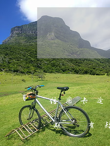 信用卡逾期給朋友發(fā)消息(信用卡逾期會有短信通知嗎)