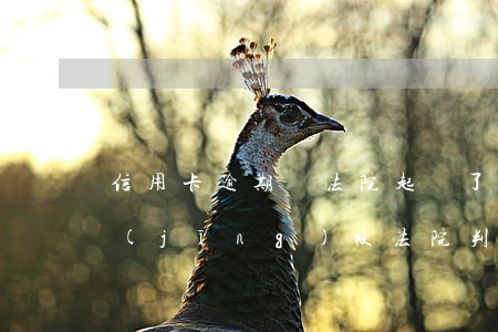信用卡逾期給法院起訴了(信用卡逾期了已經(jīng)被法院判決了怎么辦)