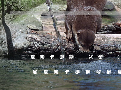信用卡逾期給父母發(fā)律師函違法嗎(因信用卡逾期收到律師函)