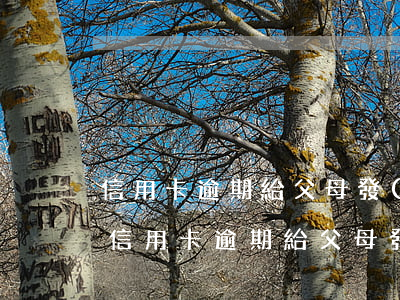 信用卡逾期給父母發(fā)短信說要起訴(信用卡逾期給父母發(fā)短信說要起訴)