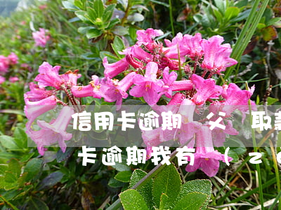 信用卡逾期給父親取款怎么處理(我父親信用卡逾期,我有責(zé)任嗎)