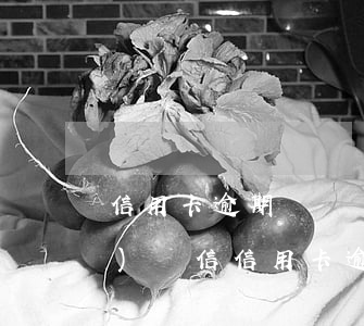 信用卡逾期給銀監(jiān)會(huì)寫信(信用卡逾期給銀監(jiān)會(huì)寫信模板)