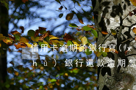 信用卡逾期給銀行寫(xiě)還款書(shū)(銀行還款逾期怎么寫(xiě)保證書(shū))