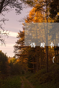 信用卡逾期給銀行造成的風(fēng)險(銀監(jiān)會關(guān)于信用卡逾期)