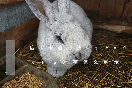 信用卡逾期統(tǒng)計(jì)數(shù)字怎么顯示