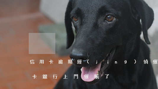 信用卡逾期經(jīng)偵催還錢 欠信用卡銀行上門催賬了