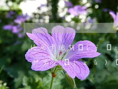 信用卡逾期經(jīng)偵問(wèn)什么手續(xù)(經(jīng)偵管信用卡逾期嗎)