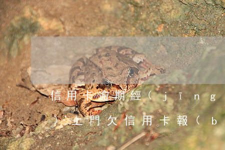 信用卡逾期經(jīng)偵大隊(duì)上門(欠信用卡報(bào)案經(jīng)偵會(huì)找上門嗎)