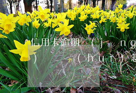 信用卡逾期經(jīng)偵大隊(duì)傳喚會(huì)怎么辦(欠信用卡銀行要報(bào)經(jīng)偵)