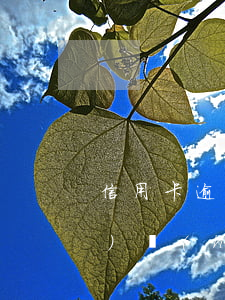 信用卡逾期經(jīng)偵大隊(duì)會(huì)用私人號(hào)碼打電話嗎-信用卡逾期經(jīng)偵大隊(duì)會(huì)用私人號(hào)碼打電話嗎是真的嗎