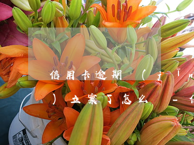 信用卡逾期經(jīng)偵大隊(duì)立案了怎么還-信用卡逾期經(jīng)偵大隊(duì)立案了怎么還沒有結(jié)果