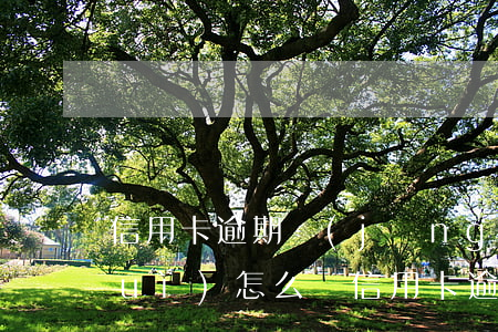 信用卡逾期經(jīng)偵抓人了會(huì)怎么樣(信用卡逾期經(jīng)偵抓人了會(huì)怎么樣處罰)