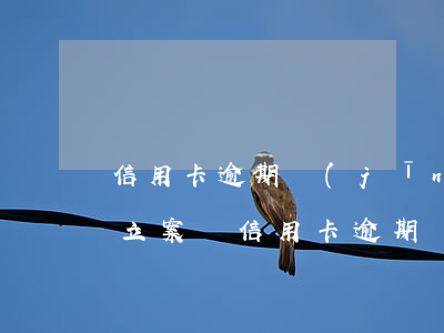 信用卡逾期經(jīng)偵會(huì)立案嗎(信用卡逾期經(jīng)偵已拘留)