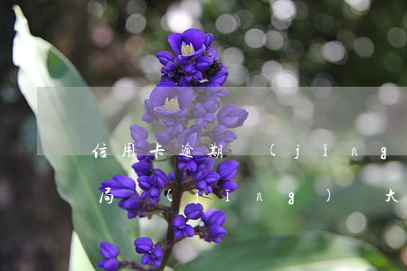 信用卡逾期經(jīng)偵會立案嗎(公安局經(jīng)偵大隊(duì)負(fù)責(zé)信用卡逾期嗎)