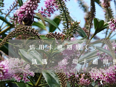 信用卡逾期經(jīng)偵會給家人打電話嗎-信用卡逾期經(jīng)偵會給家人打電話嗎怎么辦
