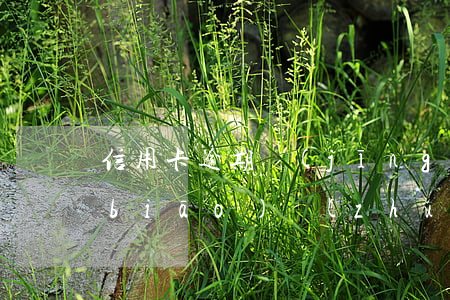 信用卡逾期經(jīng)偵案件立案標(biāo)準(zhǔn)(信用卡逾期經(jīng)偵案件立案標(biāo)準(zhǔn)是什么)