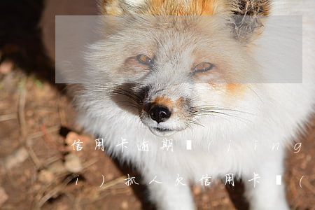 信用卡逾期經(jīng)偵直接來(lái)抓人(欠信用卡報(bào)案經(jīng)偵會(huì)找上門嗎)