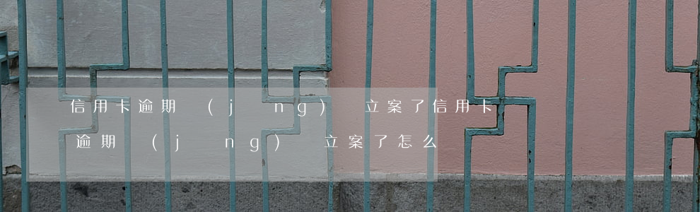 信用卡逾期經(jīng)偵立案了(信用卡逾期經(jīng)偵立案了怎么辦)