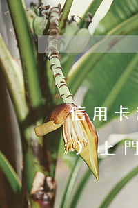 信用卡逾期經(jīng)偵說(shuō)上門(mén)