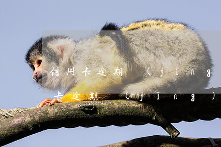 信用卡逾期經(jīng)偵部門備案(信用卡逾期經(jīng)偵管不管)