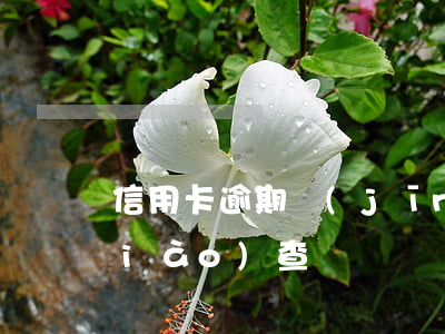 信用卡逾期經(jīng)偵隊傳喚調(diào)查